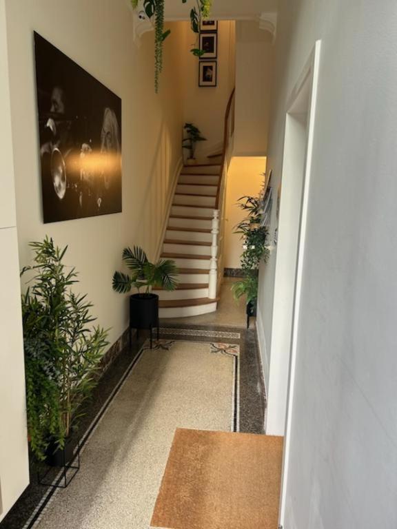 Les Du Palais Guest house