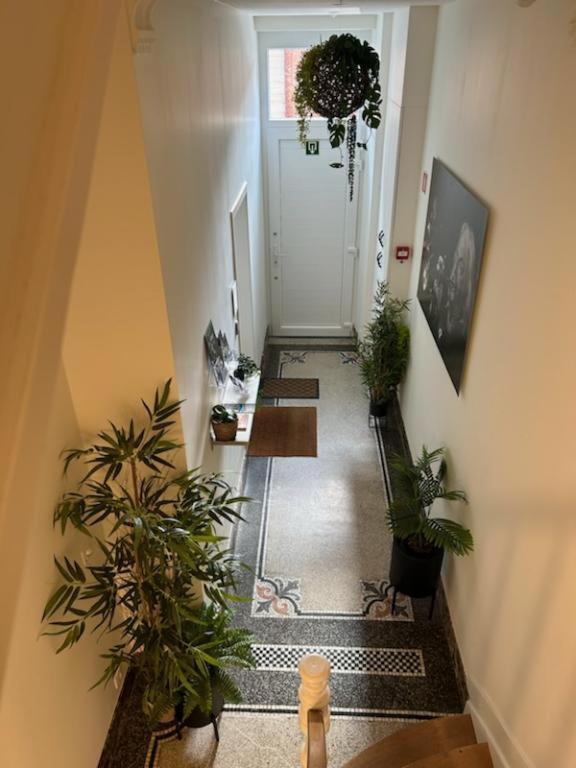 Guest house Les Du Palais Dinant